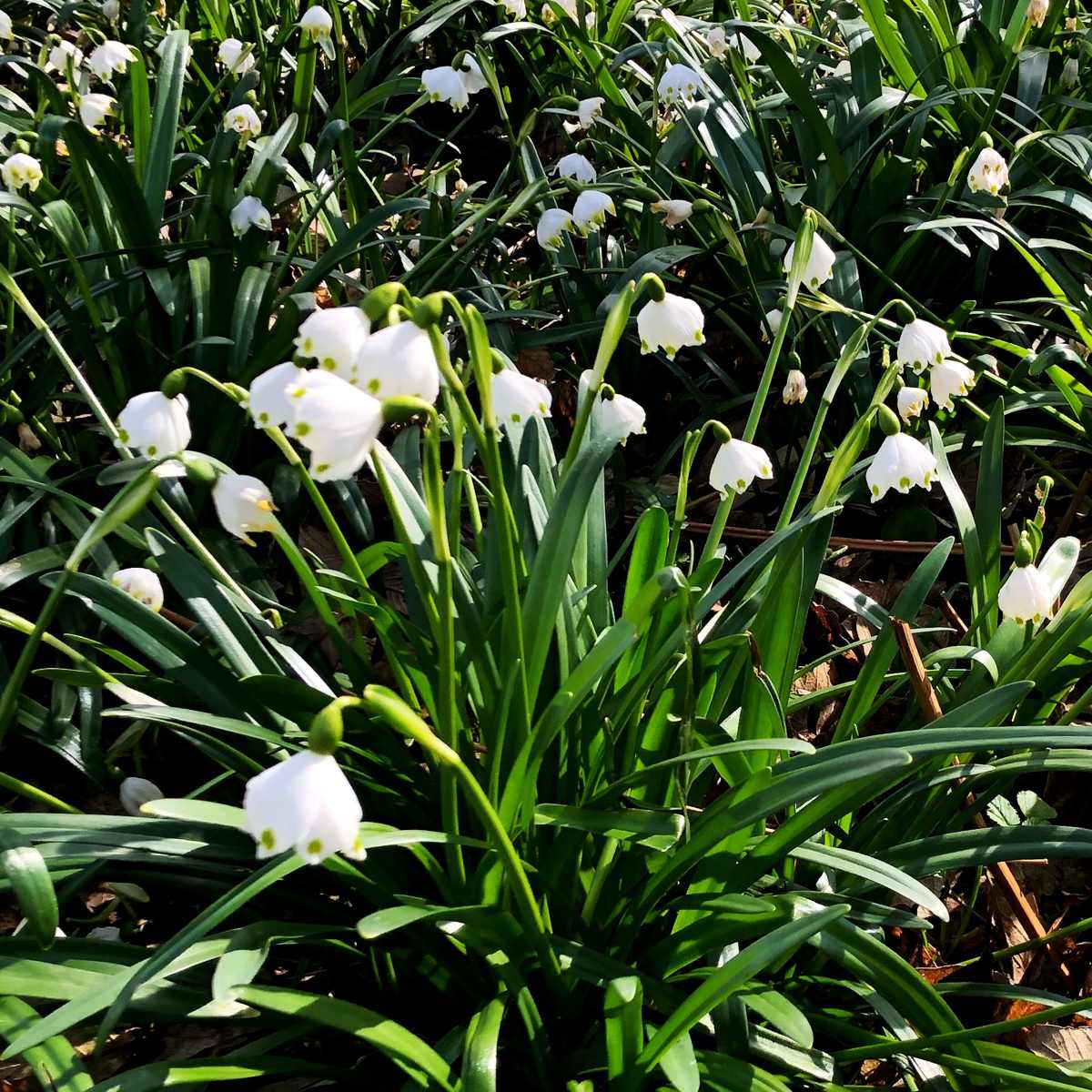 Raus in den Frühling! Raus in den Frühling!